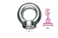 8542 ZM20-LIFTING EYE NUTS GALVANIZE PARTITA B8 