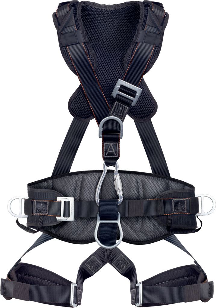 HAR25GT - HARNESS WITH BELT 5PTS