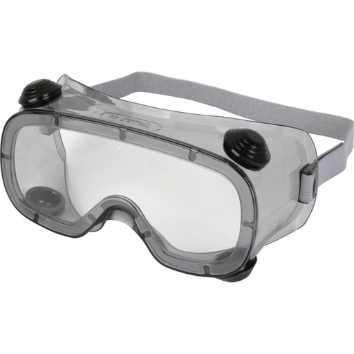 [DPRUIZ1VI] RUIZ1 Safety Goggles 
