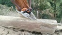MS 382 Chainsaw,50cm/20", 36RS