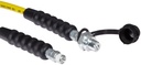 HOSE 10 FT 3/8 NPT + CH-604 