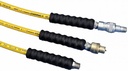 HOSE 10 FT 3/8 NPT + CH-604 