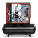 CPVSD29 Screw Compressor 30hp 3920 l/min 5-12Bar 