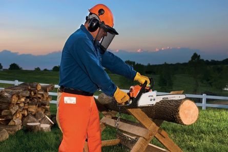 MS170 Petrol Chainsaw, 35cm/14"