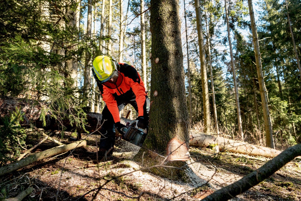 MS 36-18 LTX BL 40 CORDLESS CHAIN SAW 40cm/16" (Bare)