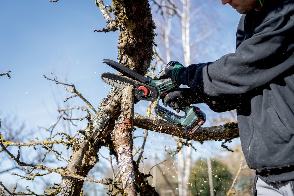MS 18 LTX 15 Cordless pruning saw     TV00