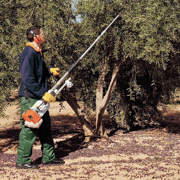 SP 451 Olive Harvester 