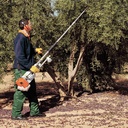 SP 451 Olive Harvester 