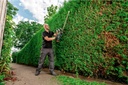 AHS 36 V Cordless Hedge Trimmer 