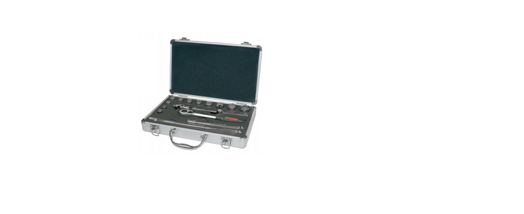 SOCKET SET 3/8" - 12 PCS 