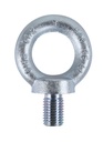 8040-Z M20-LIFTING EYEBOLTS DIN580 