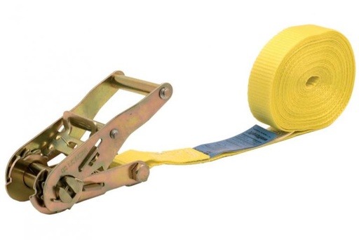 [DPWALCL2JR51000M] Ratchet Belt Cargo Lashing 2Ton x 10M With Hook 
