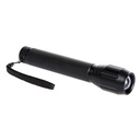 PA67 Black Taskforce Security Torch 